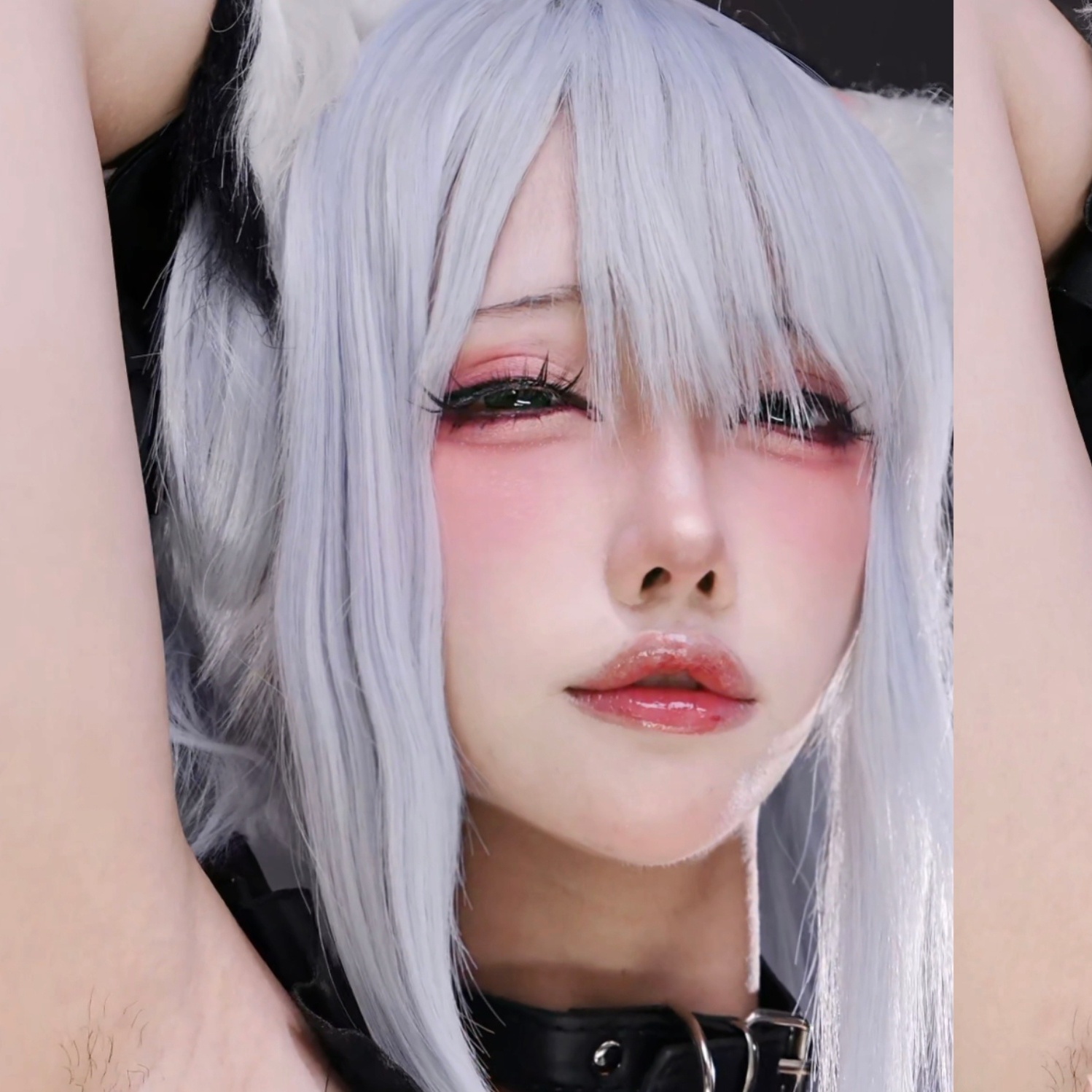 boxmoe_header_banner_img